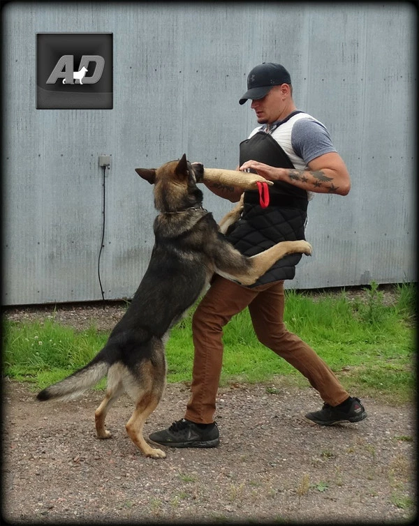 Fabric Scratch Apron - Image 2