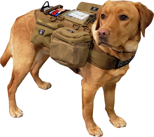 CaliberDog K9 Tactical MOLLE Vest - Image 2