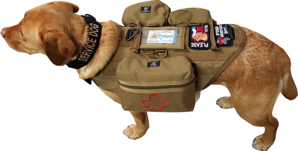 CaliberDog K9 Tactical MOLLE Vest - Image 6