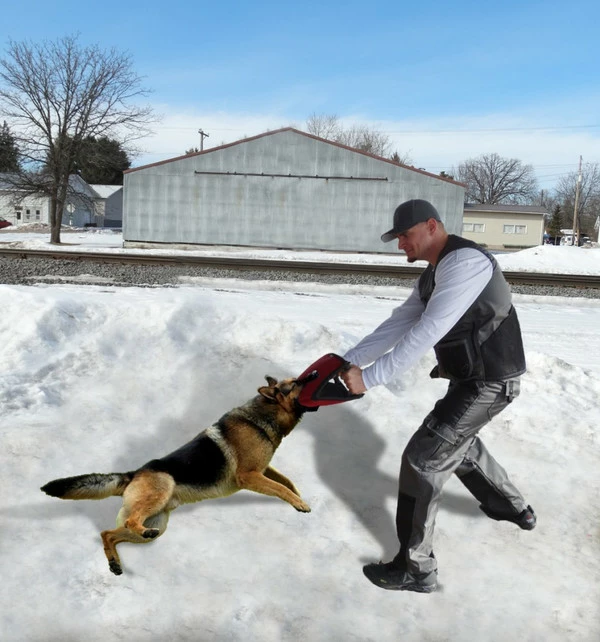 CaliberDog Handler Vest - Image 6