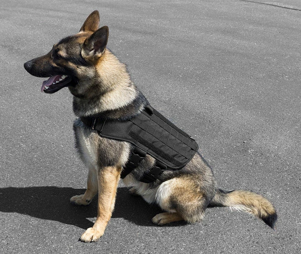 CaliberDog Tactical Light Duty MOLLE Harness - Image 4