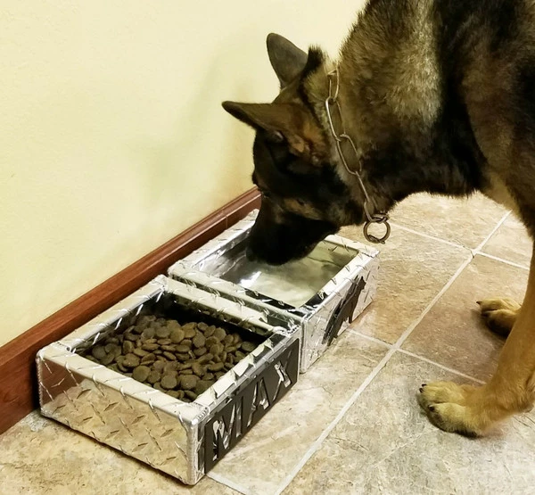 Personalized Water & Food Bowl Set - Image 3