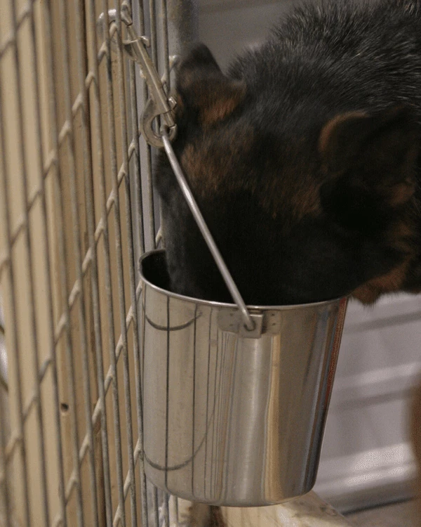 Stainless Steel Flat Sided Pails - Image 3