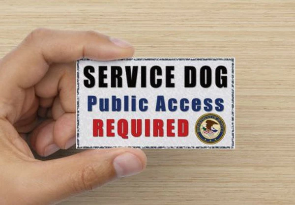 Service Dog ADA Public Access Required Cards - 25pk - Image 2