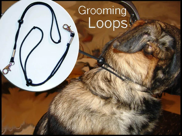 Grooming Loops - Image 5