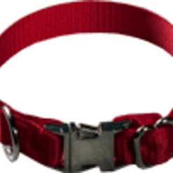 Nylon Dog Collar 5/8"