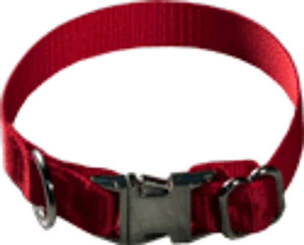 Nylon Dog Collar 5/8"